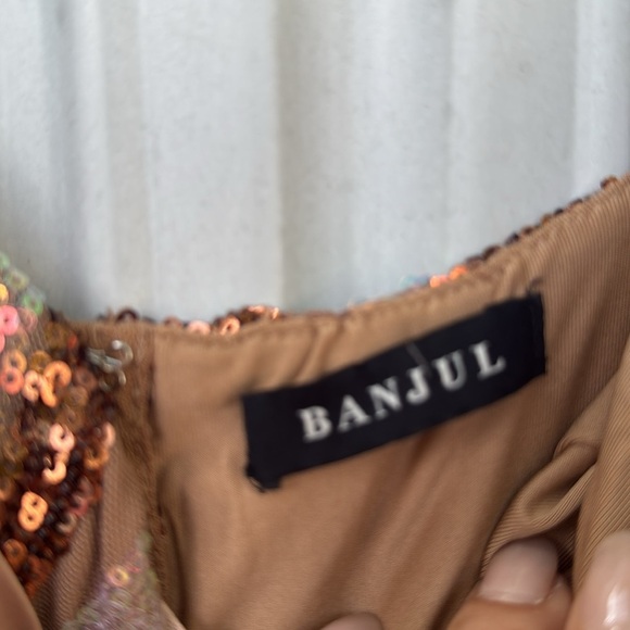 Brown and Gold Sequin Jumpsuit - Picture 4 of 15